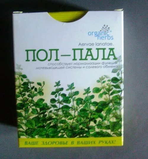 Трава пала пала лечебные свойства. Пол пала эрва шерстистая. Полпола от почек. Русские корни трава пол-пала. Фитофарм трава эрвы шерстистой.