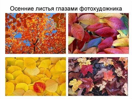 Осенние листья 2 класс литературное