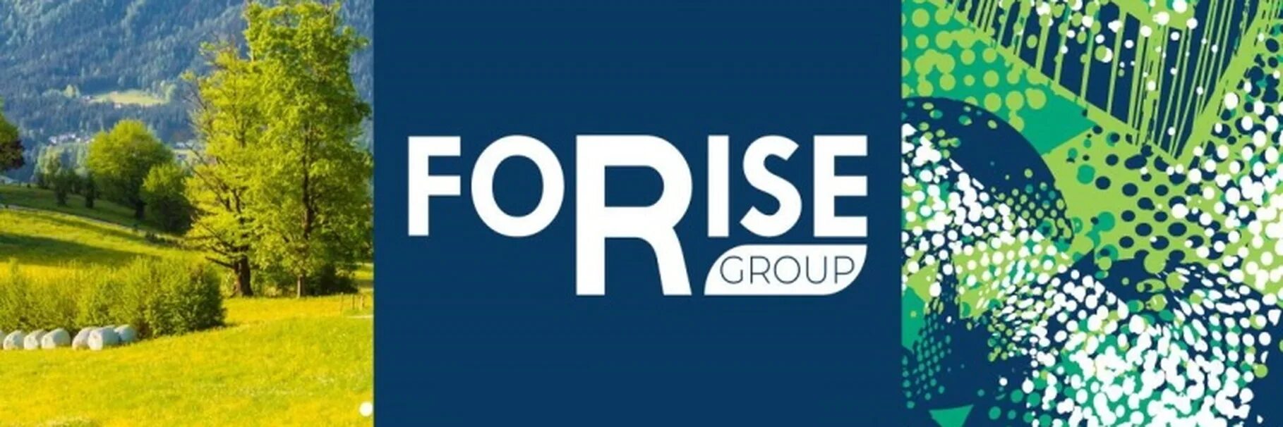 Форайз групп личный. Форайз логотип. Forise Group логотип компании. Картинки Форайз групп. Форайз личный кабинет.