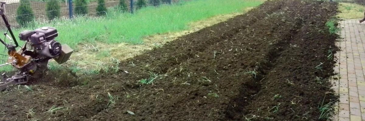 Мотокультиватор вспашка земли. Культивация земли мотоблоком. Вспашка почвы. Мотоблок для вспашки. Культиватор вспахать огород.