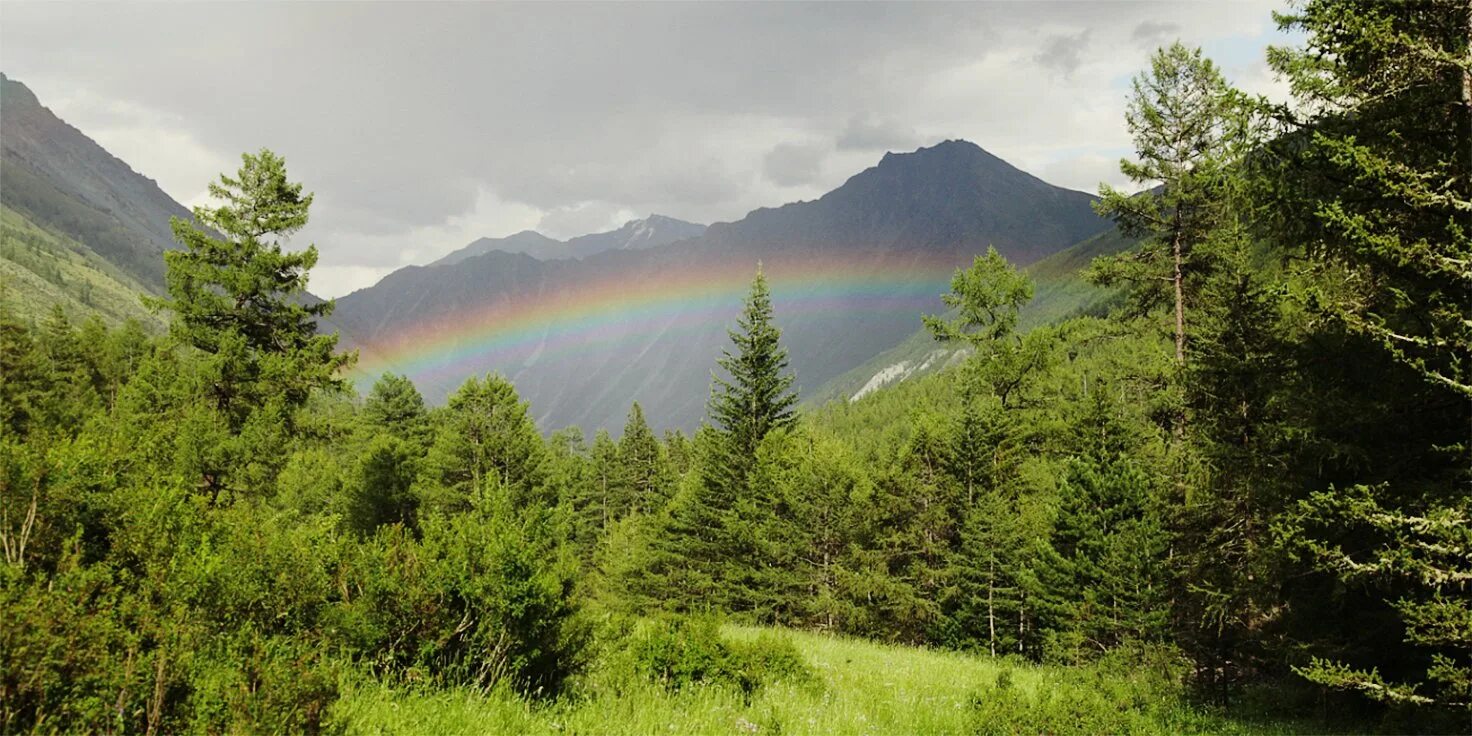 Глушитель тайга варяг 550. Система тайга. Топливная система тайга варяг 550. Тропы в сибирской тайге. Глушитель дд тайга варяг 550.
