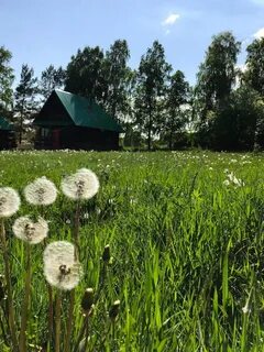 Погода в круглянке
