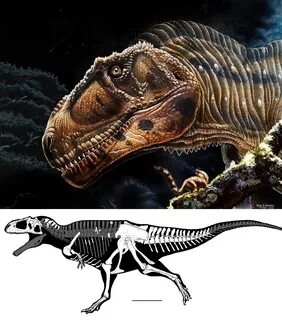 Paleontology * 2022 Meraxes gigas * New Giant Carnivorous Dinosaur (Theropo...