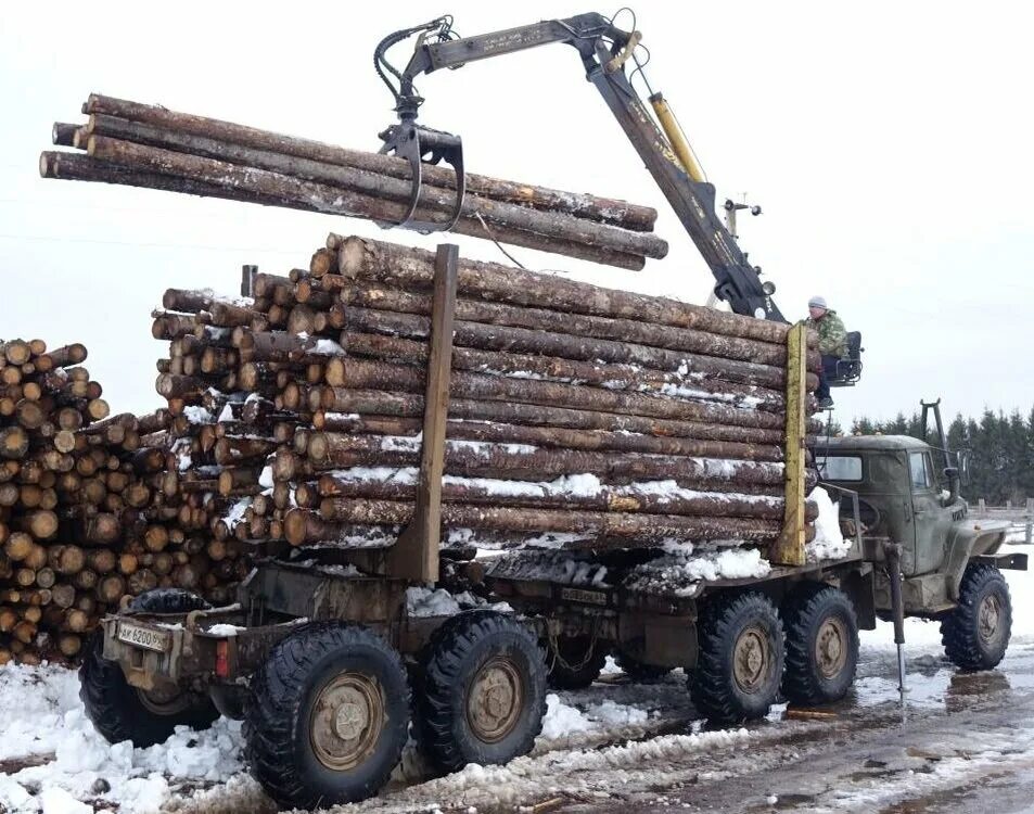 Урал Фискарс лесовоз. КАМАЗ Фискарс лесовоз. Фискарс лесовоз гидроманипулятор. Урал погрузчик лесовоз.