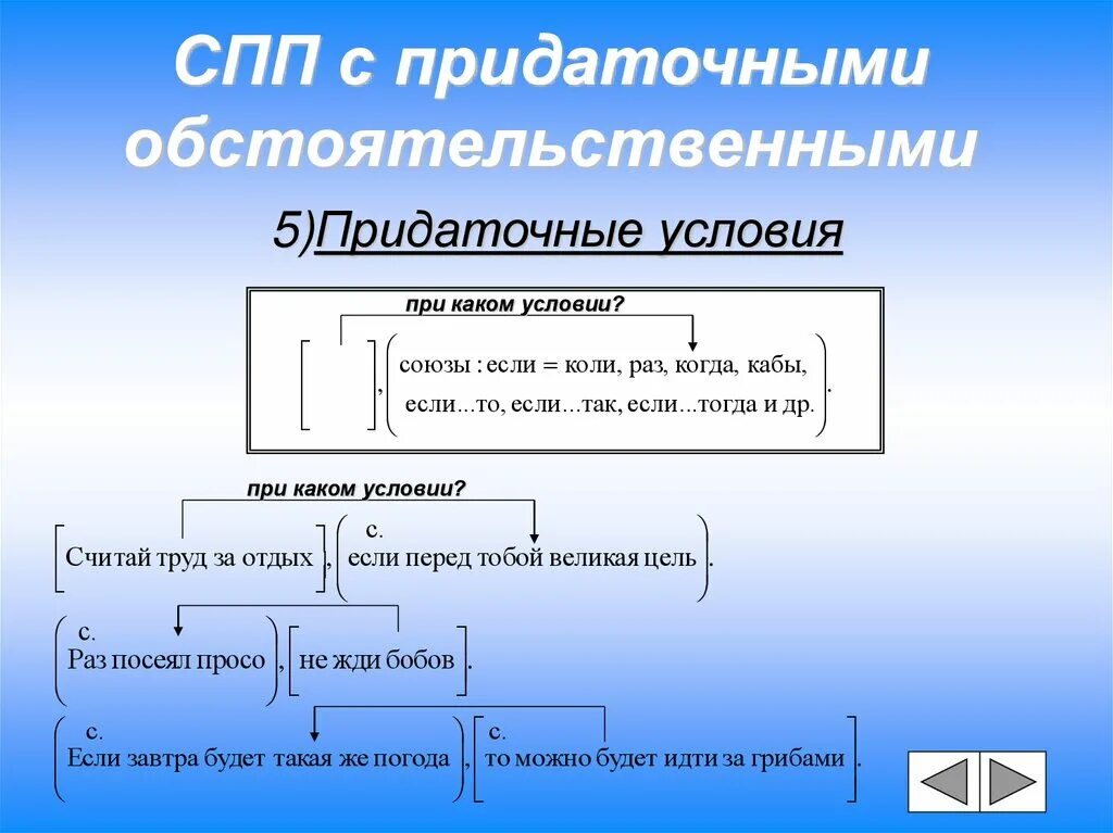 Сколько сложноподчиненных предложений