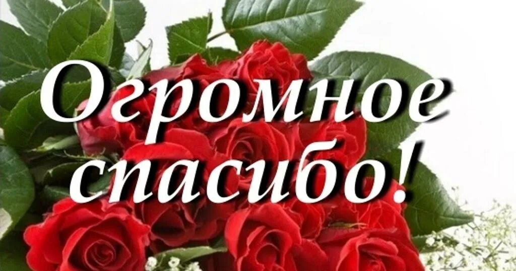 Вас спасибо или вам спасибо. Спасибки за поздравления. открытка спасибо за поздравления. огромное спасибо за поздравления. открытки спасибо большое за поздравление.