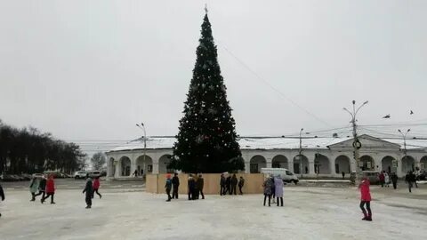 Ели в костроме