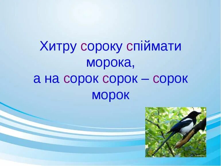 Скороговорка сорок сорок сорок морок. Сорок-сорок. Приучить одну сороку одна морока а сорок сорок сорок морок. Хитрую сороку поймать морока а сорок сорок сорок морок. Приручить сороку одна морока а сорок.