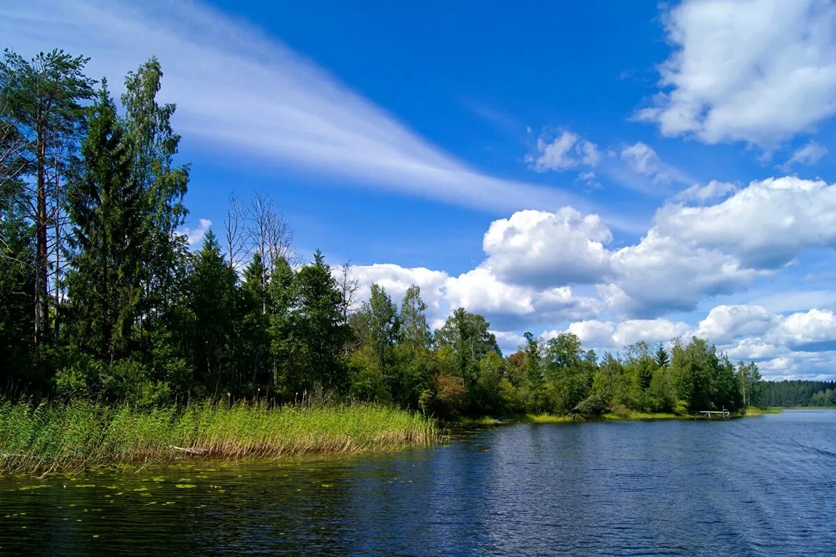 Виднеется речка