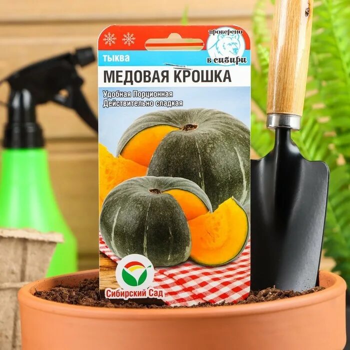 Тыква медовая крошка описание сорта. Тыква медовая крошка 5шт (нк). тыква медовая крошка сиб сад. тыква сибирский сад. сорт тыквы медовая крошка.