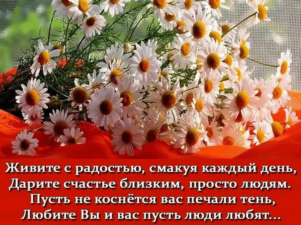 Пусть каждый ваш день будет наполнен радостью. Живите в радости. Счастья и радости в каждом дне. Живите в счастье и радости. Живите с радостью смакуя каждый день.