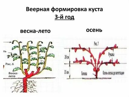 Как сформировать г