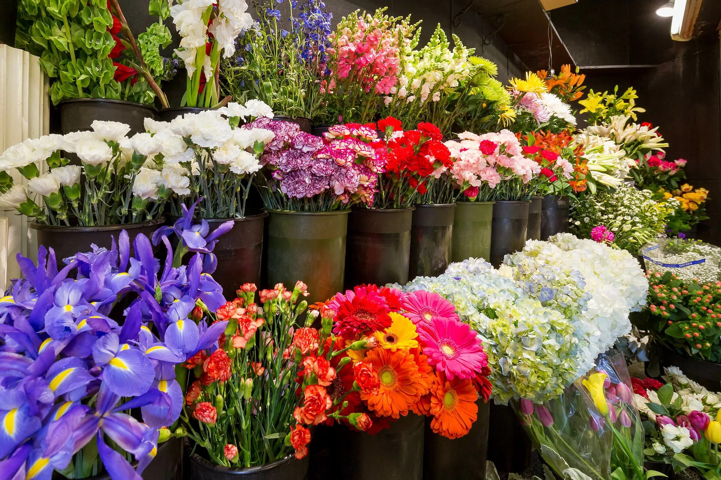 Florist's shop. Flower shop. Цветоград Москва. Floral shop.