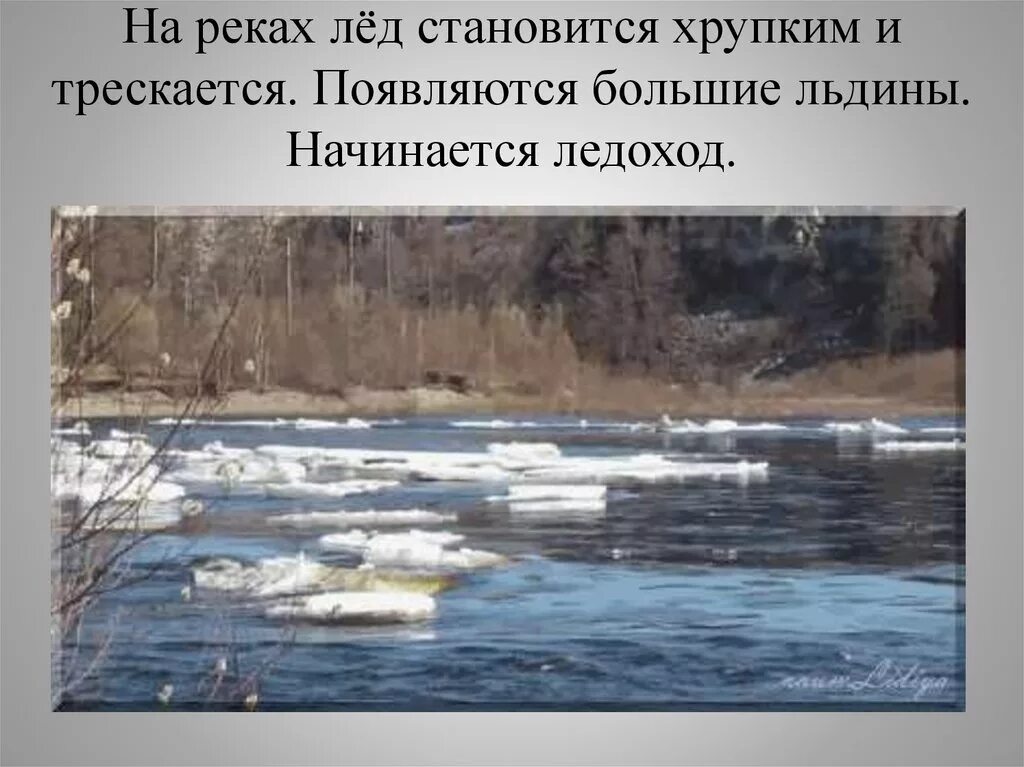 Прочитайте ледоход. Ледоход. весенний ледоход на реке. половодье. ледоход для детей.