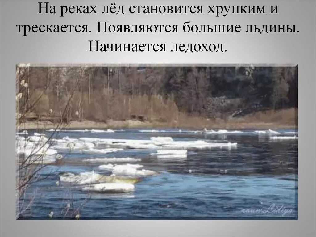 Ледоход. Ледоход на реке. Половодье.