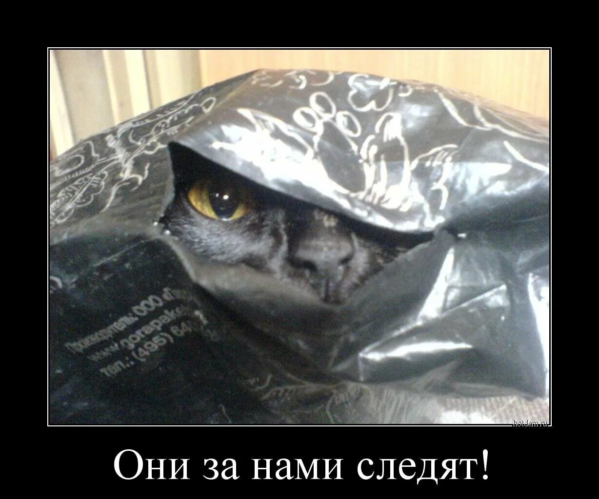 Как проверить что за тобой следят. За нами следят. слежу за тобой прикол. за нами следят мем. следит прикол.