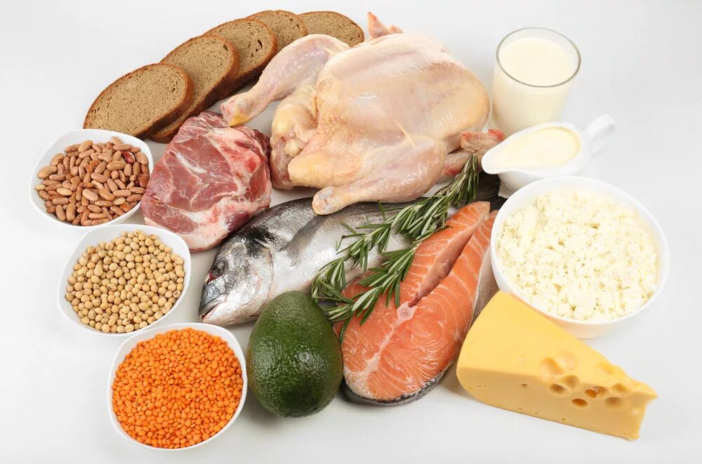 Соотношение белков в пище. Белковые продукты. Белки продукты. Белки в пище. Животный белок.