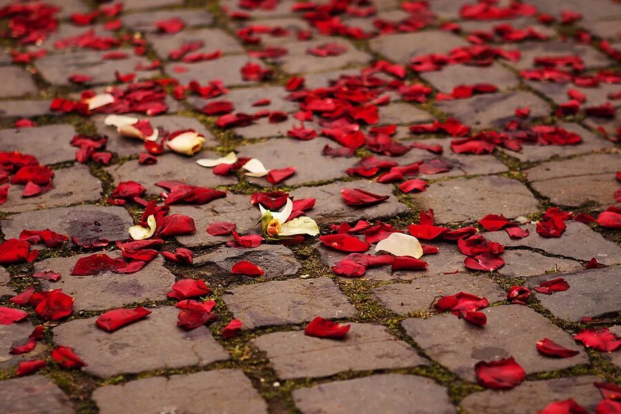 Come on ground. Come on ground. Come on ground. Неуклюжий образ. Secetele.