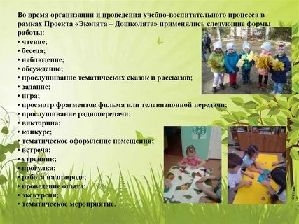 Отчет в старшей группе день эколят