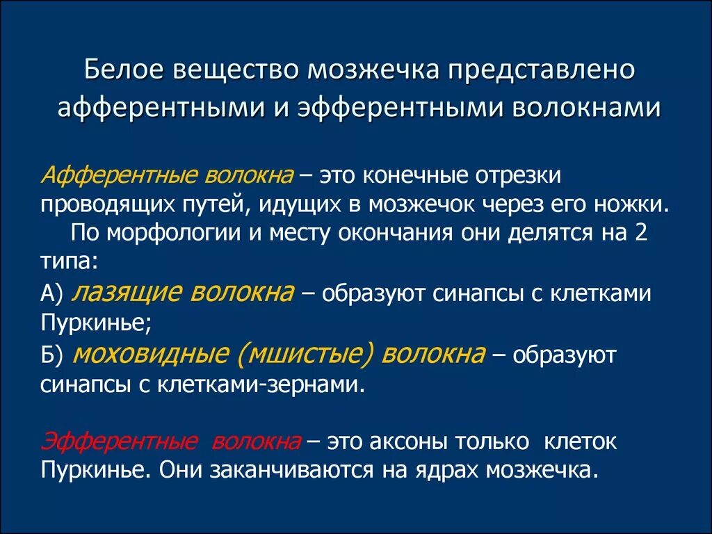 Мозжечок волокна. Белое вещество мозжечка. Белое вещество мозжечка представлено. Мозжечок строение серого и белого вещества. Строение белого вещества мозжечка.