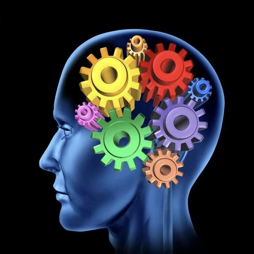 Восприятие и память. Мышление. Мозг мышление. Мозг интеллект. Мозг память.