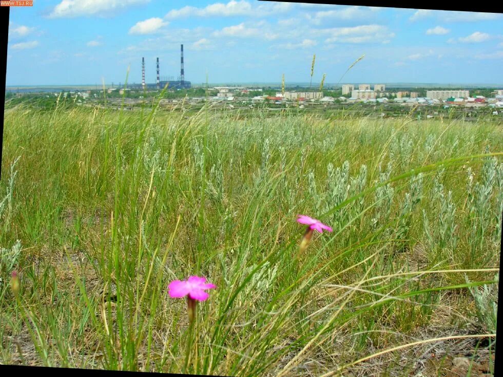 Погода п энергетик оренбургская. Пос Энергетик Оренбургская область. Посёлок Энергетик Новоорского района Оренбургской области. Дворец культуры Современник п.Энергетик Новоорского. Посёлок Энергетик Оренбургская область водохранилище.