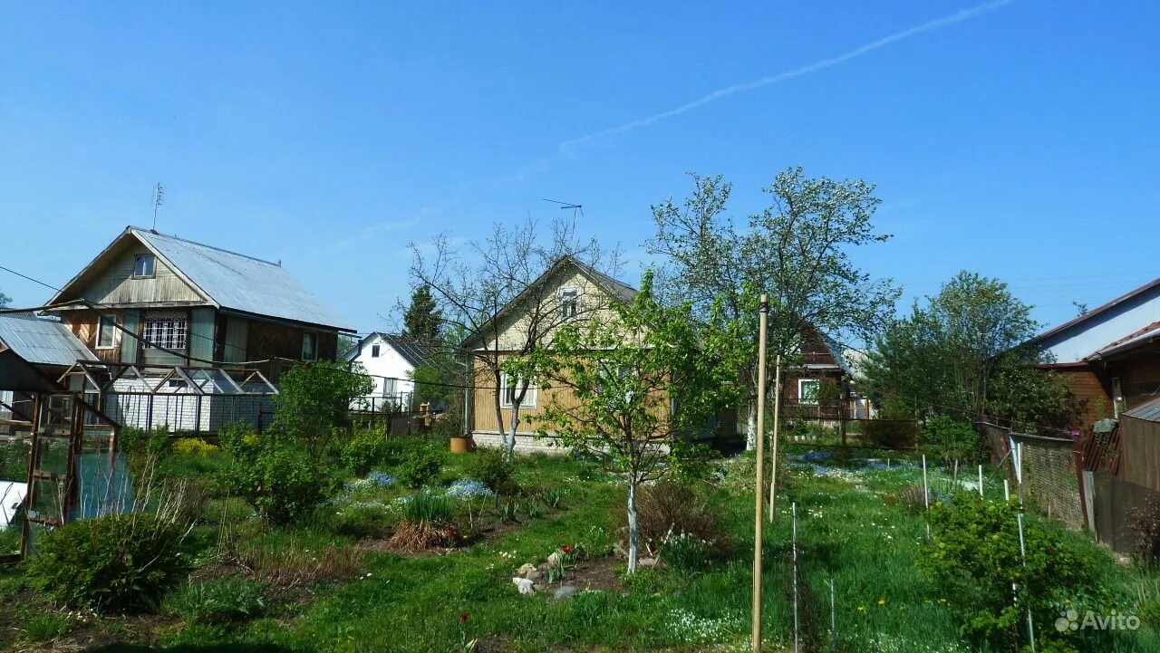 Снт тверская область. Огурцово конаковский район. Дача на мошковском заливе. Деревня загорье конаковский район тверская область. Снт тверская область.