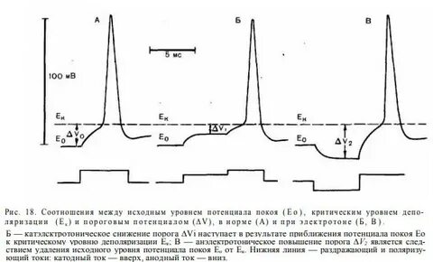 Критический уровень деполяризации клетки