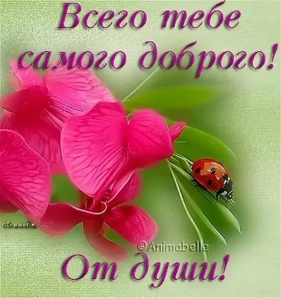 Всего тебе самого доброго. Всего тебе самого хорошего. Пожелания всего самого хорошего и доброго. Открытки всего самого доброго