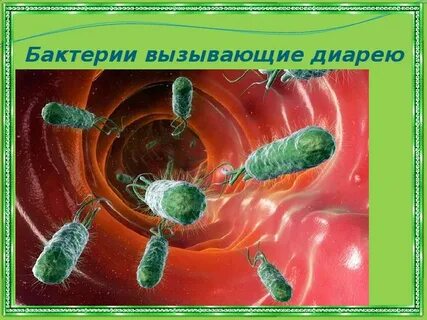 Организменные бактерии
