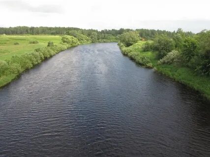 Река шелонь