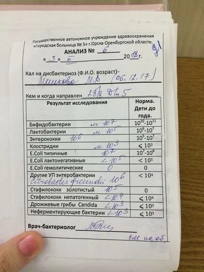 Анализ на дрожжевые грибы. Дрожжевые грибы в анализе кала. Дрожжевые грибы в Кале норма. Дрожжевые клетки в Кале норма. Копрограмма на дисбактериоз