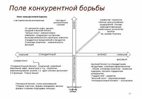Борьба стратегий