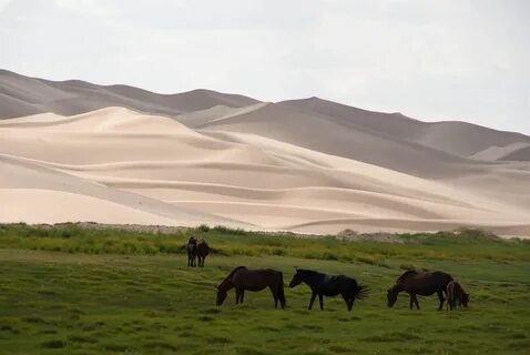 В какой стране пустыня гоби