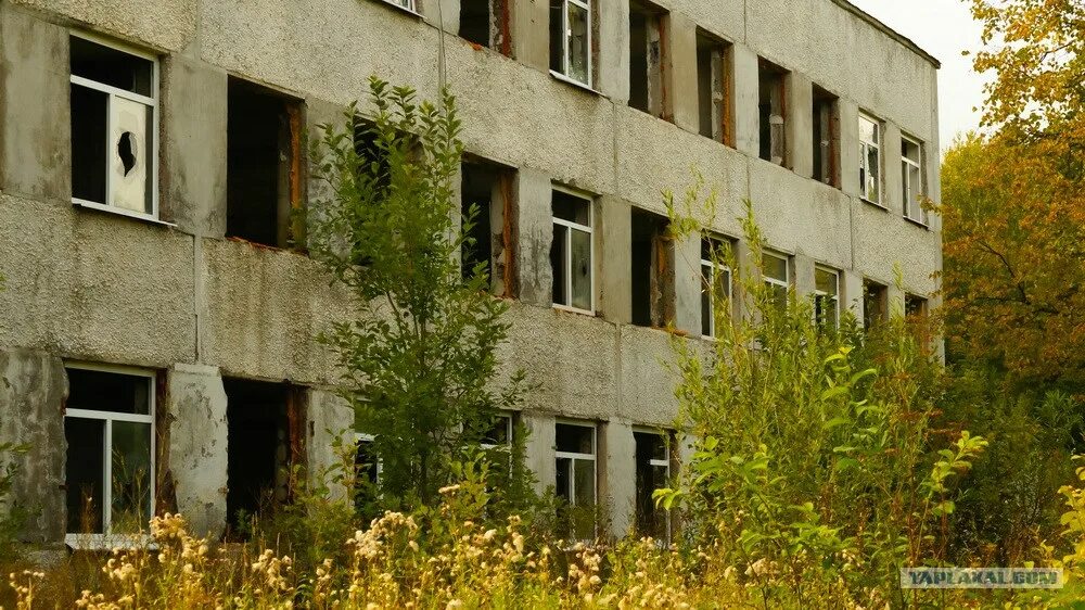 ул мира 76 пермь. ул мира 76 пермь. г. пермь карбышева 76/1. куйбышева 76 екатеринбург.