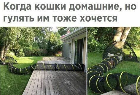 Тоже гулять