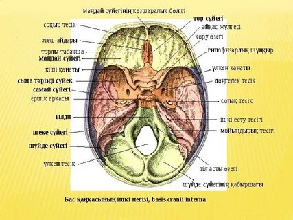 Азғындық клиникасы