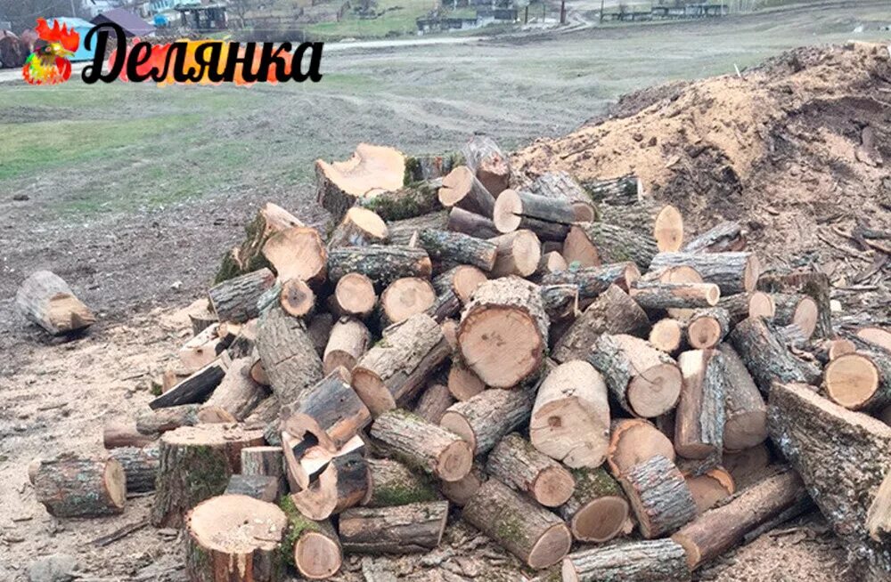 лес кругляк береза. поленница для дров. дрова колотые тракторная телега. лесхоз дрова. конфискованный лес.