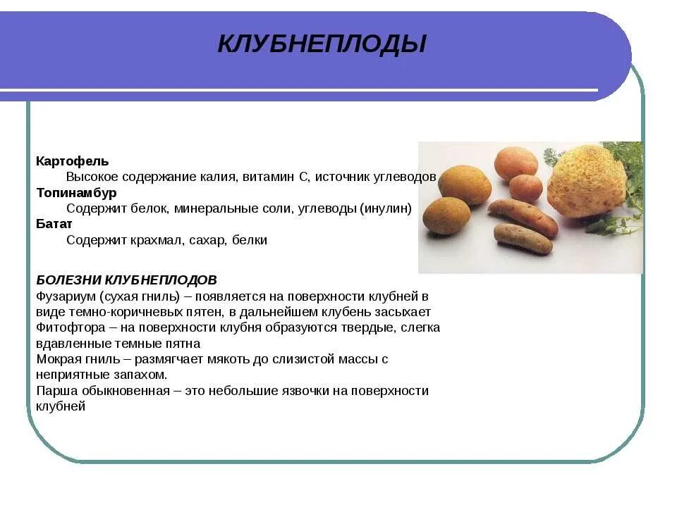 Содержание белка в картофеле