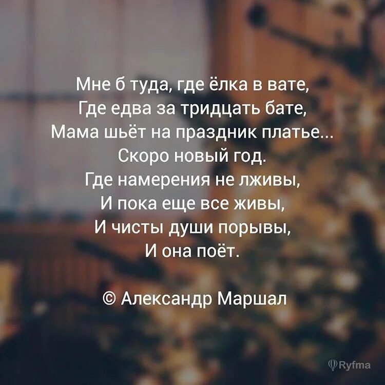 Скорей туда где. Мне туда где елка в вате. И едва за тридцать бате. Мне б туда где ёлка в вате где едва за тридцать бате стих. Стихотворение мне б туда.