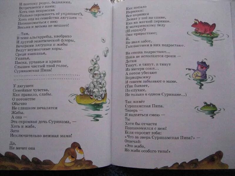 Б заходер веселые стихи птичья школа. Птичья азбука заходер. заходер живая азбука. стих птичья школа.