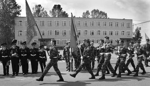 Зарница строевая