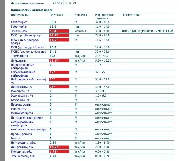 Нейтрофилы понижены у мужчины о чем это. Показатели крови лимфоциты моноциты лейкоциты. Расшифровка клинического анализа эозинофилы. Клинический анализ крови эозинофилы норма и расшифровка. Анализ крови ребенок нормы эозинофилы.