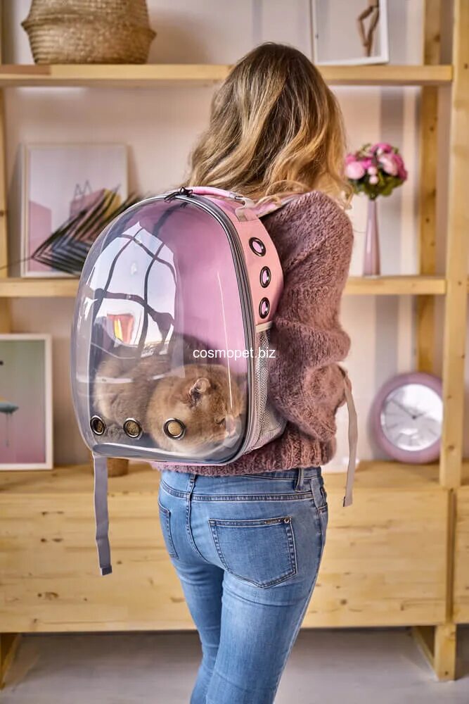 Рюкзак-переноска PETKIT Fresh Wind Cat Backpack. Рюкзак-переноска pl2523. Rurri рюкзак переноска. Рюкзак переноска для кошек прозрачный. Купить рюкзак переноску для кошек