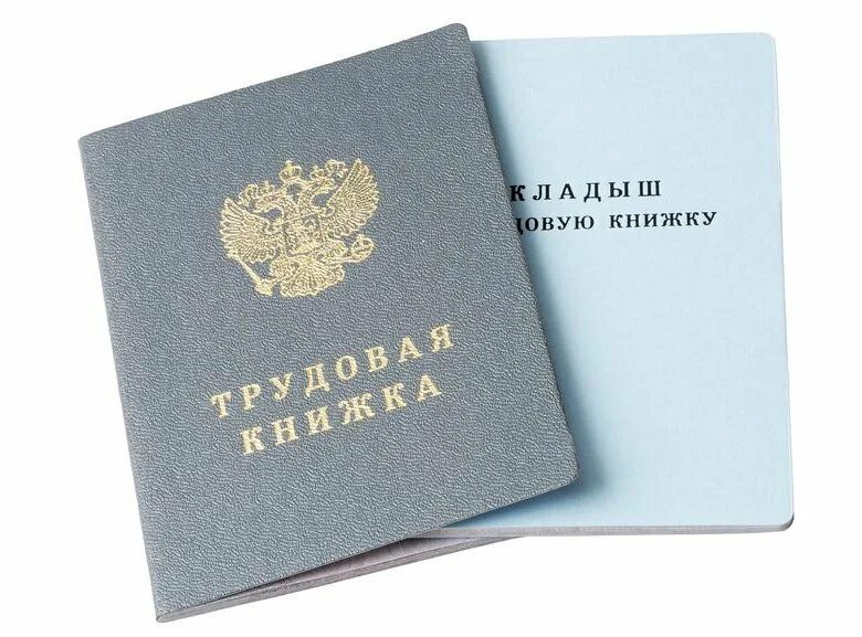 Трудовая книжка. Вкладыш в трудовую книжку. Трудовая книжка картинка. Бланк "Трудовая книжка".