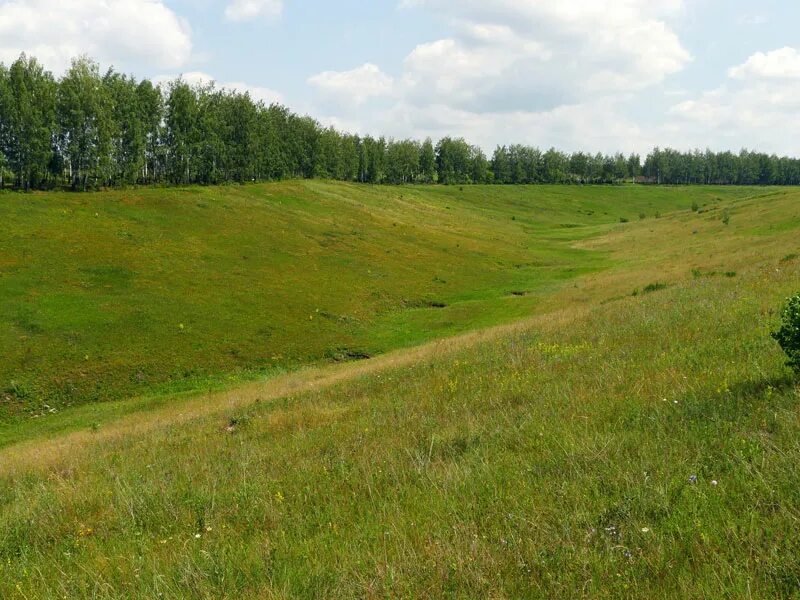 бруктонской лощина. овраг балка лощина.