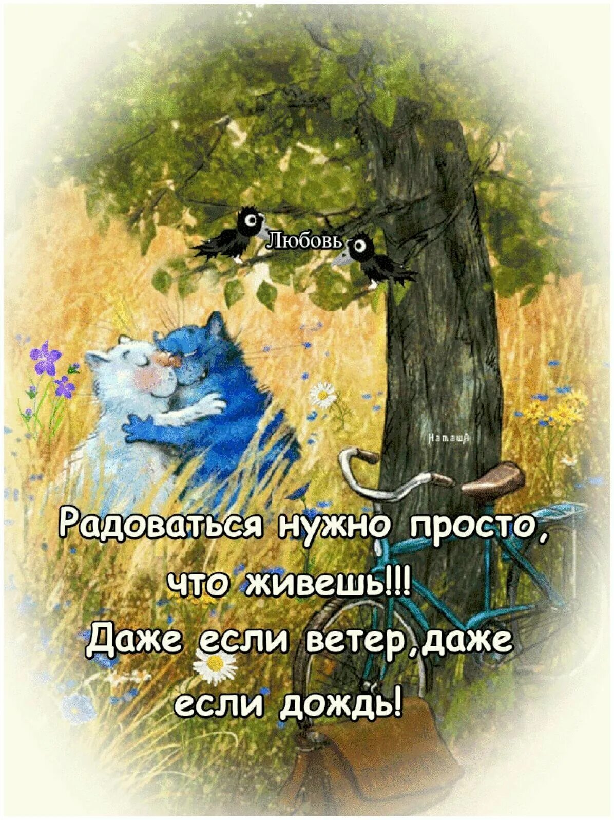 Доброе утро позитивные открытки со смыслом. Доброе утро цитаты. цитаты про утро. афоризмы о добром утре. позитивные цитаты с добрым утром.