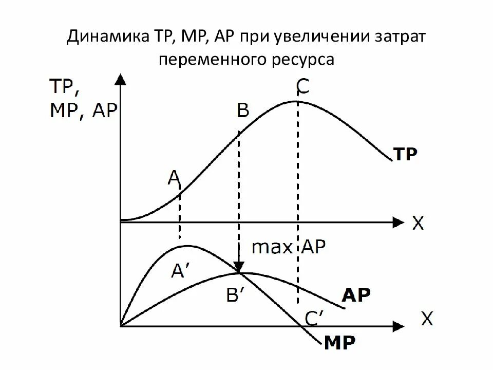График тп. Взаимосвязь тр, ар и мр. tr на графике. ар и мр в экономике. график mp ap.