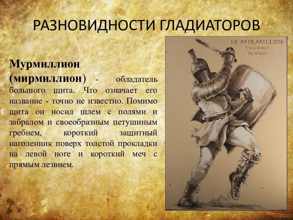 Типы гладиаторов. Разновидности гладиаторов. Типы гладиаторов в древнем Риме. Гладиаторские бои презентация. Гладиаторские бои разновидности.