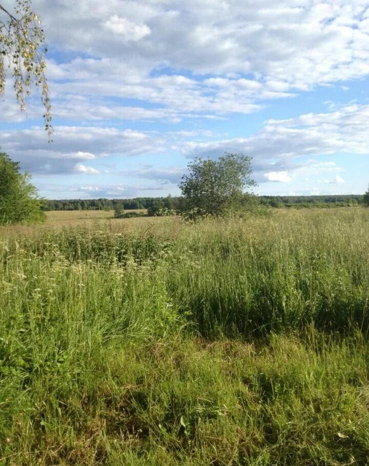 Куркино детская площадка. Микрорайоны куркино. Куркино шаховская. Юровская улица куркино. Деревня юрово куркино.
